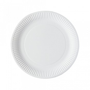 Green Spirit 9inch Round Paper Plates 100 Plates