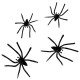 Spiders Web with Spiders - 100sq ft