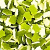 Haribo Jelly Terrific Turtles (3kg)
