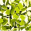 Haribo Jelly Terrific Turtles (3kg)