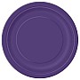 Pretty Purple 9" Paper Party Plates (16pk)