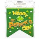 St Patricks Day Flag Bunting 4m