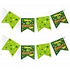 St Patricks Day Flag Bunting 4m