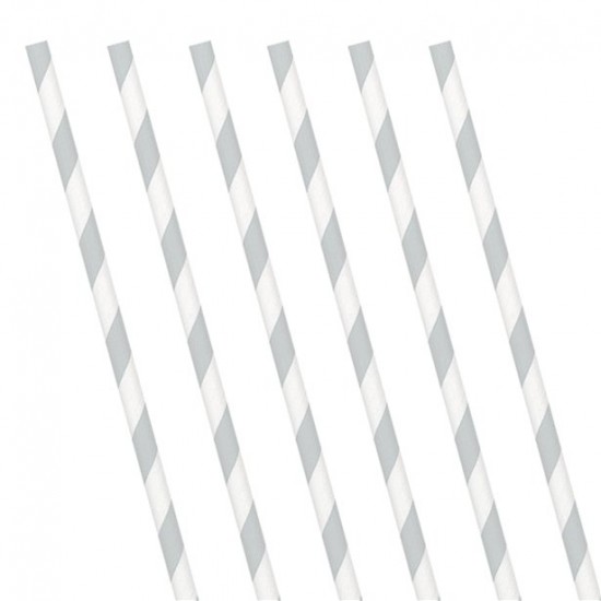 Silver Stripe Paper Straws (24 Pack)
