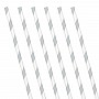 Silver Stripe Paper Straws (24 Pack)
