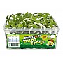 Sweetzone Mini Frogs