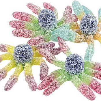 Trolli Fizzy Tarantulas 1kg