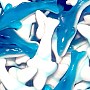 Trolli Jelly Sharks 1.2kg