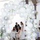 White & Silver Wedding Balloon Arch Kit
