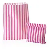Bright Pink Candy Stripe Paper Bags