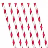 Apple Red Stripe Paper Straws (24 Pack)