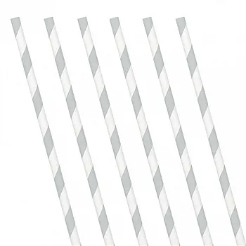 Silver Stripe Paper Straws (24 Pack)