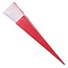 Rose Tube with Red Ribbon