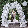 White & Silver Wedding Balloon Arch Kit